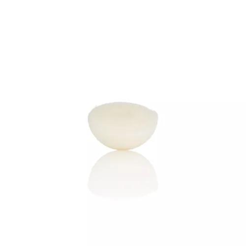 Konjac gelaatsspons puur groot